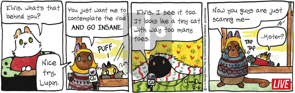 Breaking Cat News on Wednesday February 6, 2019 Comic Strip