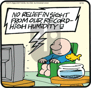 Ziggy on Wednesday June 18, 2014 Comic Strip