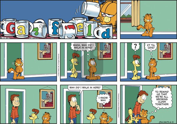 Garfield on Sunday June 15, 2025 Comic Strip