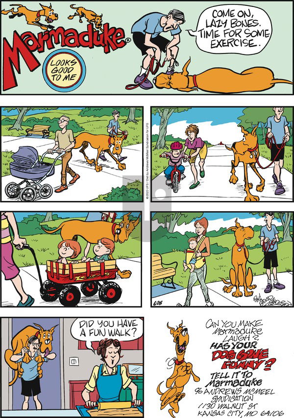 Marmaduke on Sunday June 28, 2020 Comic Strip