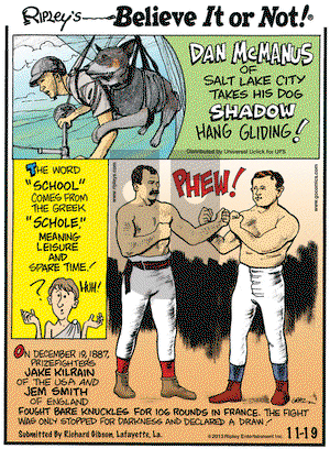 Ripley's Believe It or Not on Tuesday November 19, 2013 Comic Strip
