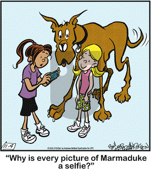 Marmaduke on Wednesday November 4, 2020 Comic Strip