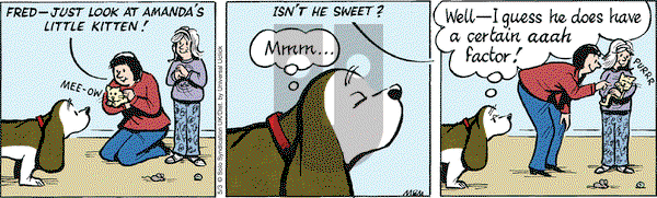Fred Basset on Tuesday May 3, 2016 Comic Strip