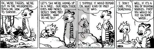 Calvin and Hobbes - Saturday March 12, 1988 Comic Strip
