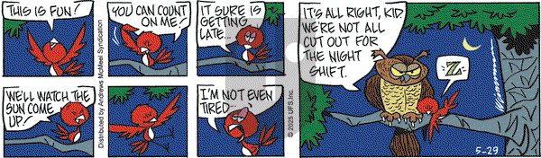 Rose is Rose on Thursday May 29, 2025 Comic Strip