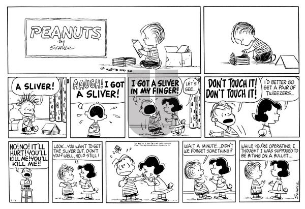 Peanuts on Sunday February 9, 1964 Comic Strip