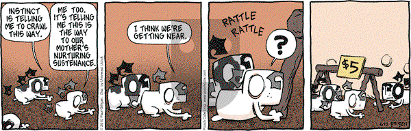 Pooch Cafe on Tuesday June 15, 2010 Comic Strip