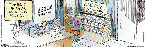 Non Sequitur on Saturday May 31, 2025 Comic Strip