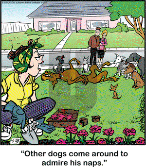 Marmaduke on Saturday March 28, 2020 Comic Strip