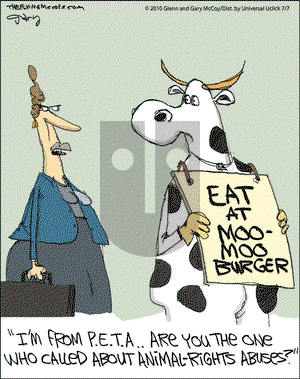 The Flying McCoys on Wednesday July 7, 2010 Comic Strip