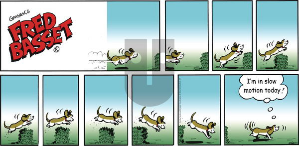 Fred Basset on Sunday August 6, 2017 Comic Strip