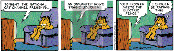 Garfield on Friday July 7, 1995 Comic Strip