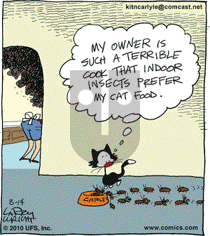 Kit 'N' Carlyle on Saturday August 14, 2010 Comic Strip