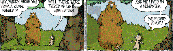 The Grizzwells on Friday July 14, 2017 Comic Strip