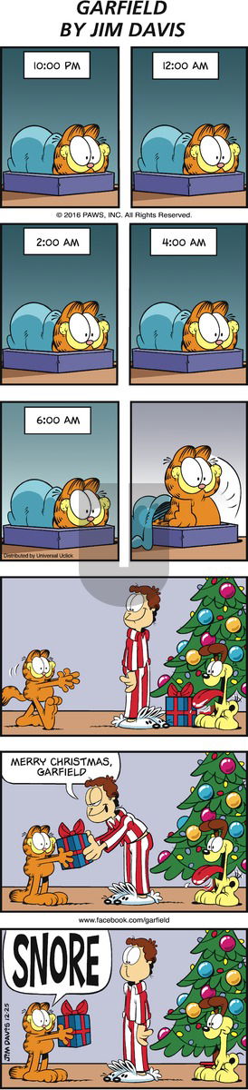 Garfield on Sunday December 25, 2016 Comic Strip
