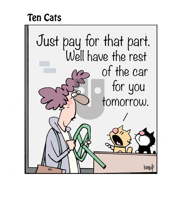 Ten Cats on Wednesday February 19, 2025 Comic Strip