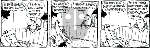 The Duplex on Wednesday August 28, 1996 Comic Strip