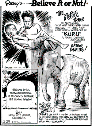 Ripley's Believe It or Not on Thursday December 29, 2005 Comic Strip