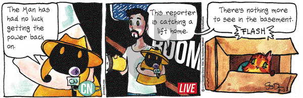 Breaking Cat News on Thursday August 1, 2019 Comic Strip