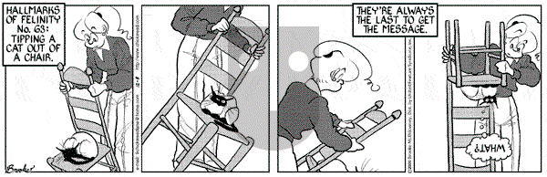 9 Chickweed Lane on Tuesday December 5, 2000 Comic Strip