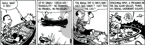 Calvin and Hobbes - Tuesday June 21, 1988 Comic Strip