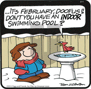 Ziggy on Tuesday February 11, 2014 Comic Strip