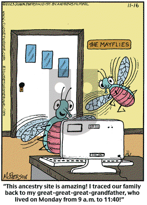 Close to Home on Thursday November 16, 2023 Comic Strip