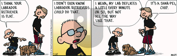 Frazz on Friday July 20, 2018 Comic Strip