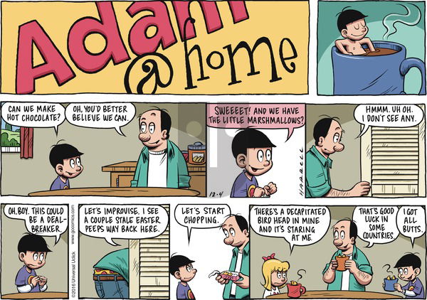 Adam@Home on Sunday December 4, 2016 Comic Strip