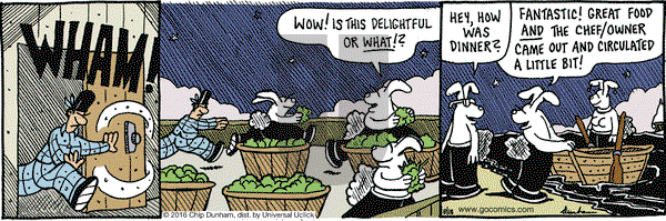 Overboard on Thursday August 18, 2016 Comic Strip