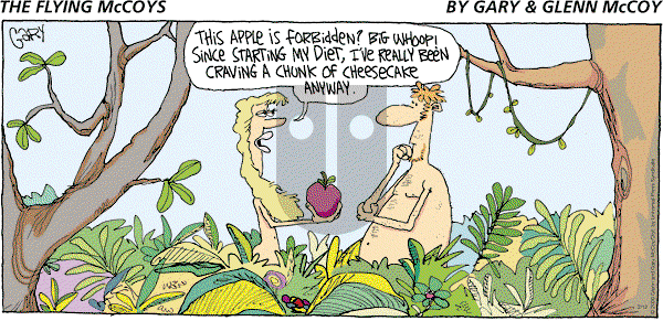The Flying McCoys on Sunday February 12, 2006 Comic Strip