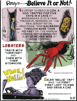 Ripley's Believe It or Not - Wednesday November 17, 2021 Comic Strip