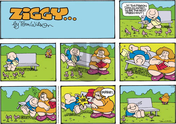 Ziggy on Sunday November 15, 2015 Comic Strip