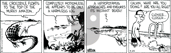 Calvin and Hobbes - Saturday May 24, 1986 Comic Strip