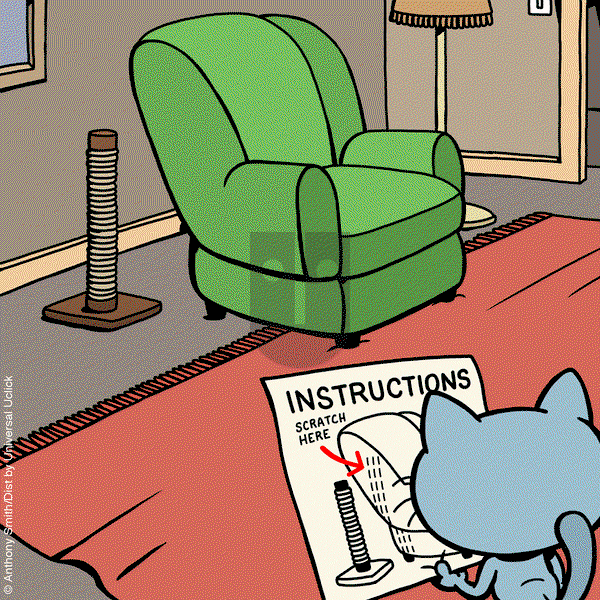 Cattitude — Doggonit on Friday January 31, 2025 Comic Strip