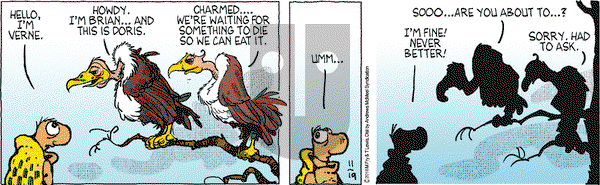 Over the Hedge on Monday November 19, 2018 Comic Strip