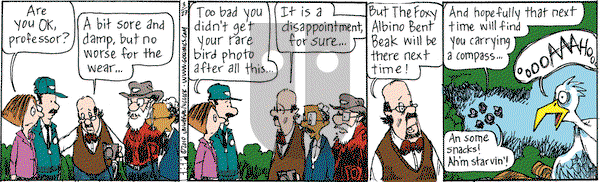 The Elderberries on Saturday September 27, 2025 Comic Strip