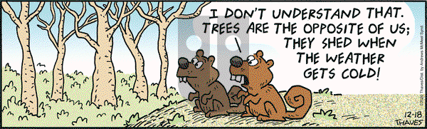 Frank and Ernest on Friday December 18, 2020 Comic Strip