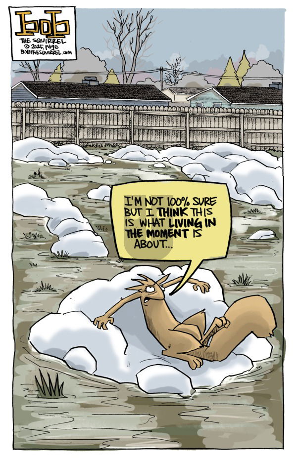 Bob the Squirrel on Sunday March 16, 2025 Comic Strip
