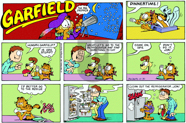 Garfield on Sunday October 30, 1988 Comic Strip
