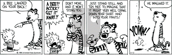 Calvin and Hobbes - Monday September 12, 2011 Comic Strip