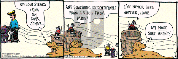 Overboard - Tuesday September 26, 2023 Comic Strip