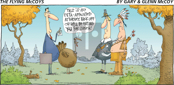 The Flying McCoys on Sunday November 22, 2009 Comic Strip