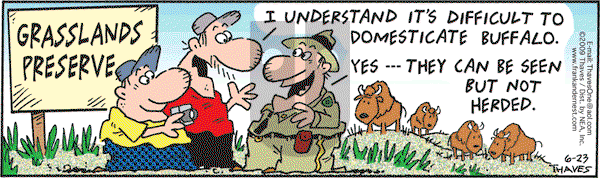 Frank and Ernest - Tuesday June 23, 2009 Comic Strip