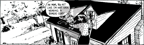 Calvin and Hobbes - Tuesday August 7, 1990 Comic Strip