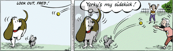 Fred Basset - Saturday June 3, 2023 Comic Strip