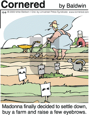 Cornered on Monday October 9, 2000 Comic Strip