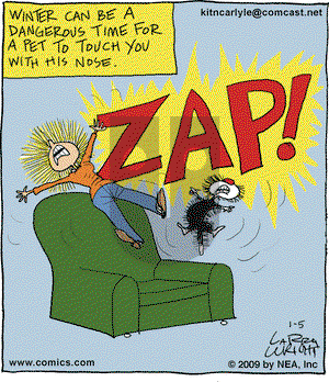 Kit 'N' Carlyle on Monday January 5, 2009 Comic Strip