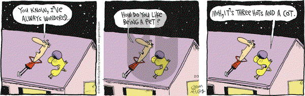 The Duplex on Wednesday February 3, 2016 Comic Strip