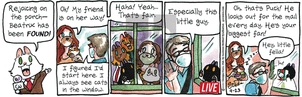 Breaking Cat News on Wednesday September 23, 2020 Comic Strip
